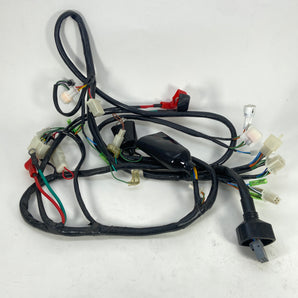 WIRE HARNESS MAIN ASSEMBLY (RA GT150)