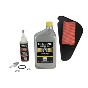 Tune Up Kit: Genuine Buddy Kick 125