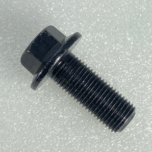 BOLT - 2X30X1.25, BLACK, HEXAGON FLANGE