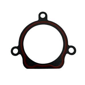 WATER PUMP GASKET (VEN)