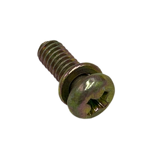 SCREW WITH WASHER