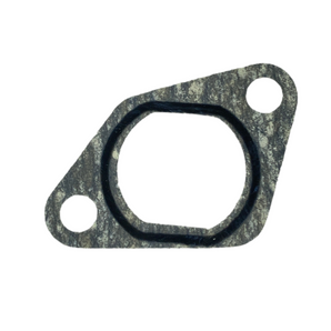 Gasket, Chain Adjuster (BLUR 220)