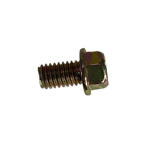 HEXAGON FLANGE BOLT (M6*10L) (BLACK CAT/ RATTLER/RH50)