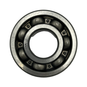 ROLLER BEARING (BLUR 220)