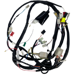 WIRE HARNESS, BUD125, 2007+