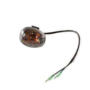 LIGHT - DOT FRONT LEFT TURN SIGNAL, CLR/AMBR BULB (RH, BUD)