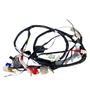 Wire Harness, Roughhouse 50cc 2014+ only