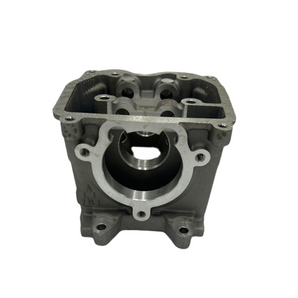 CYLINDER HEAD & VALVE ASSY (VEN)