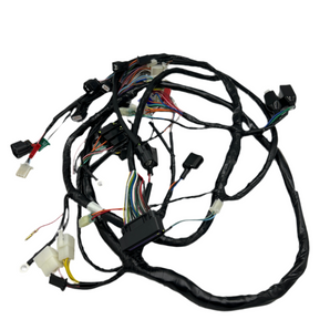 WIRE HARNESS, BUDDY 170i