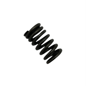 SPRING - VALVE SPRING (URB125/200i, RAT125/200i)