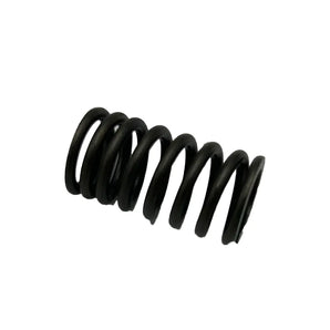 SPRING - VALVE SPRING