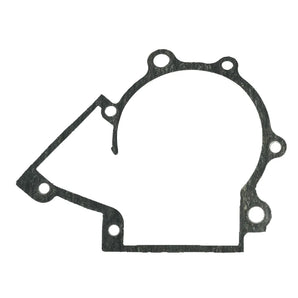 CRANKCASE GASKET, RATTLER 110