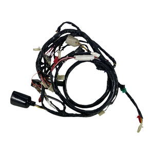 WIRE HARNESS, BUDDY 150