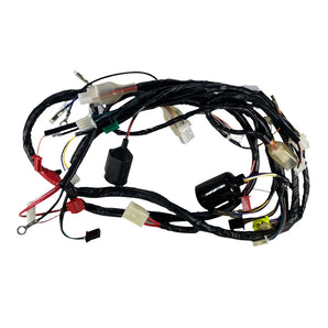 WIRE HARNESS, BUD50, 2006