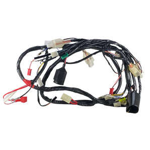 WIRE HARNESS - MY2006 (BUDDY 50)